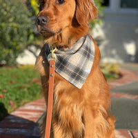 Woodland Plaid Flannel Dog Bandana | Tan, Brown, and Green Plaid Flannel | Shop Sunny Tails