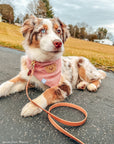 Pink Herringbone Flannel Teddy Bandana - SUNNY TAILS