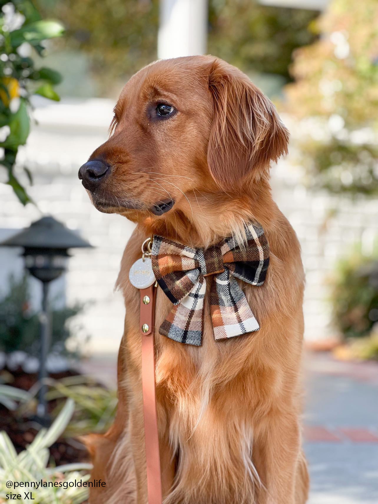 Harvest Plaid Flannel Dog Sailor Bow - SUNNY TAILS