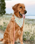 Flower Fields Dog Bandana - SUNNY TAILS