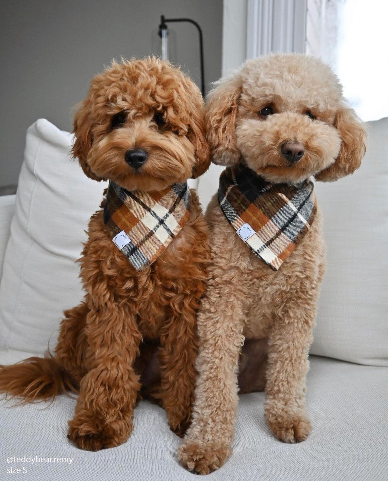 Harvest Plaid Flannel Dog Bandana - SUNNY TAILS