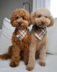 Harvest Plaid Flannel Dog Bandana - SUNNY TAILS
