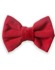 Red Corduroy Dog Bow Tie - SUNNY TAILS