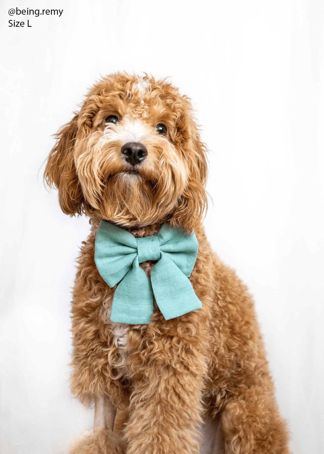 Matcha Sage Green Linen Dog Sailor Bow - SUNNY TAILS