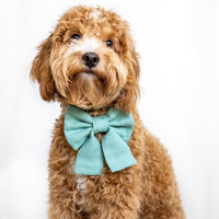Sage Green Linen Matcha Dog Sailor Bow | Snap Over Collar Dog Bow | Shop Sunny Tails