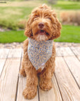 Daisies Field Dog Bandana - SUNNY TAILS