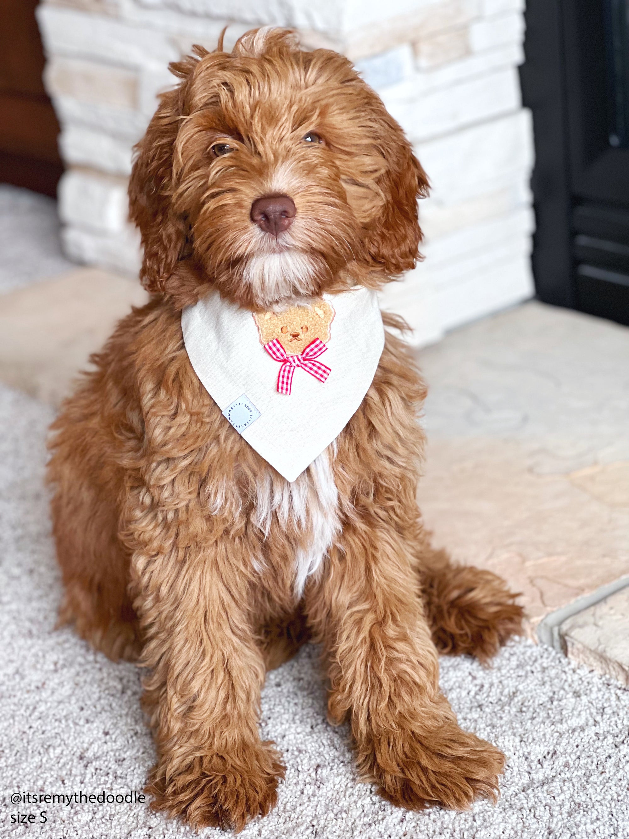 Picnic Teddy Ivory Linen Dog Bandana (Customizable)