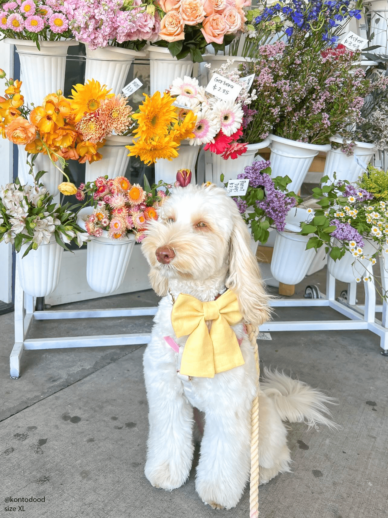 Yuzu Yellow Linen Dog Sailor Bow - SUNNY TAILS