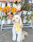 Yuzu Yellow Linen Dog Sailor Bow - SUNNY TAILS