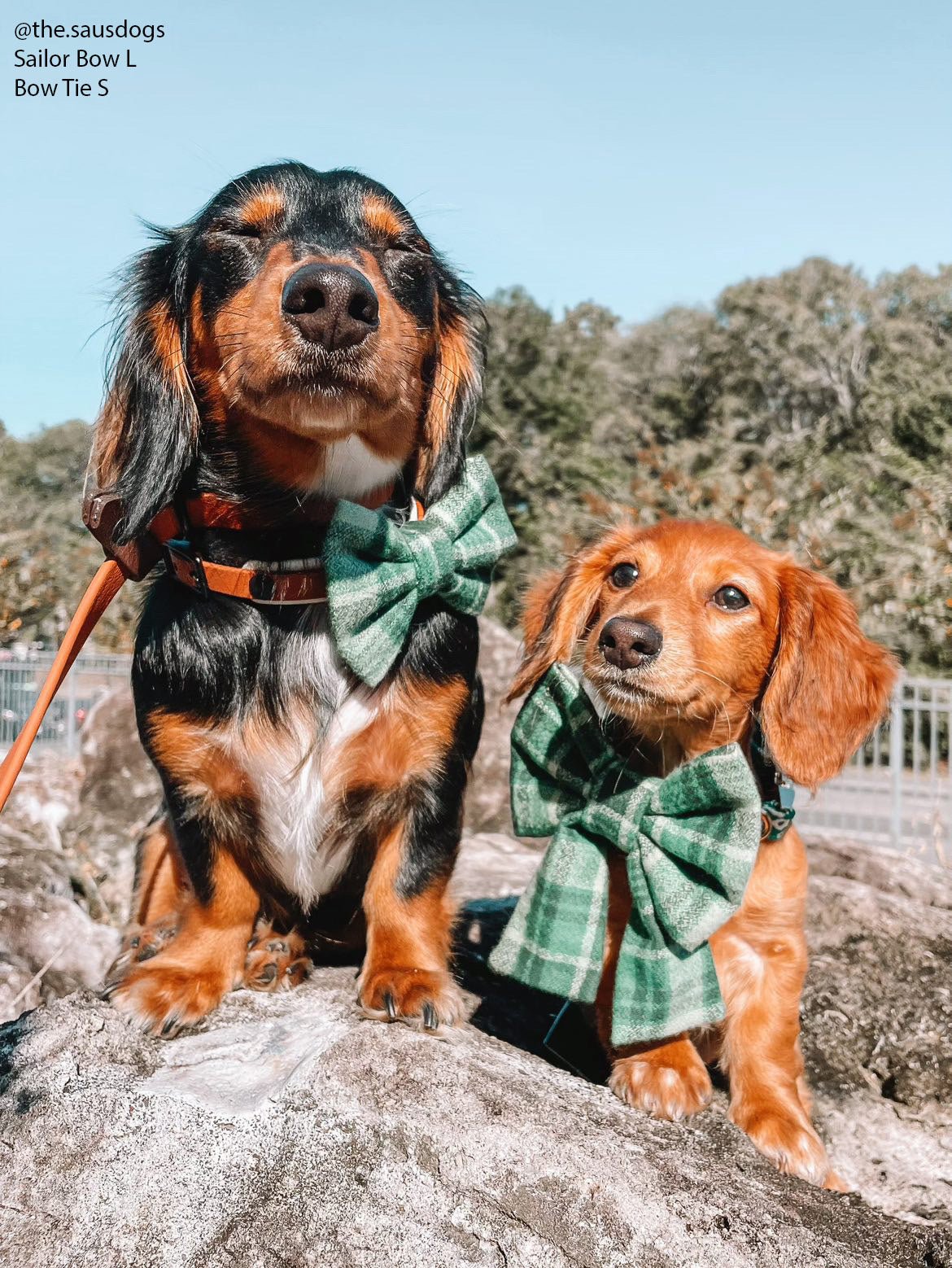 Forest Plaid Flannel Dog Sailor Bow - SUNNY TAILS