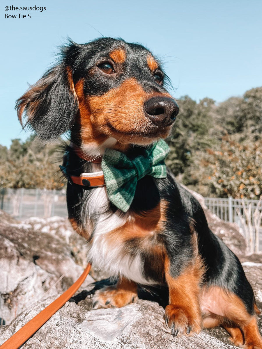 Forest Plaid Flannel Dog Bow Tie