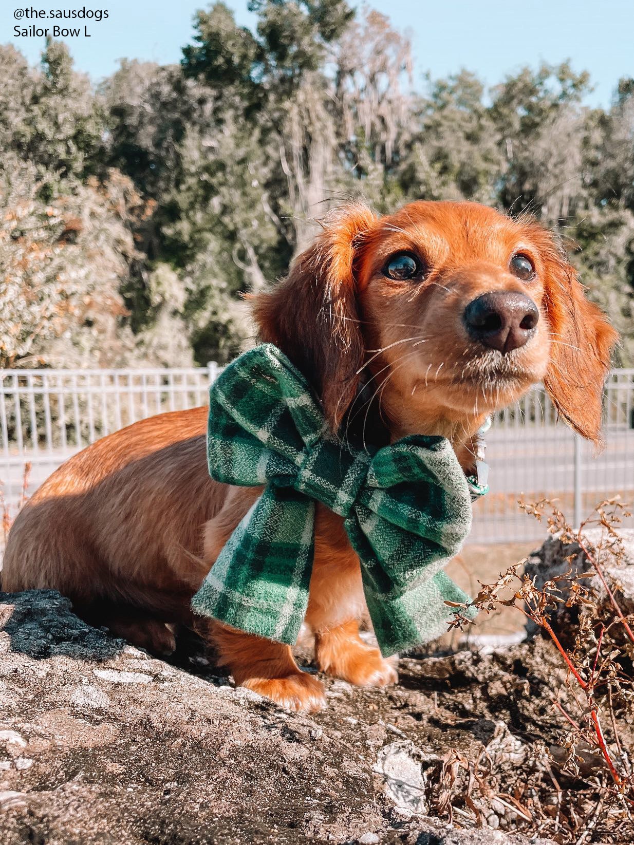 Forest Plaid Flannel Dog Sailor Bow - SUNNY TAILS