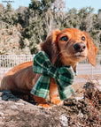 Forest Plaid Flannel Dog Sailor Bow - SUNNY TAILS