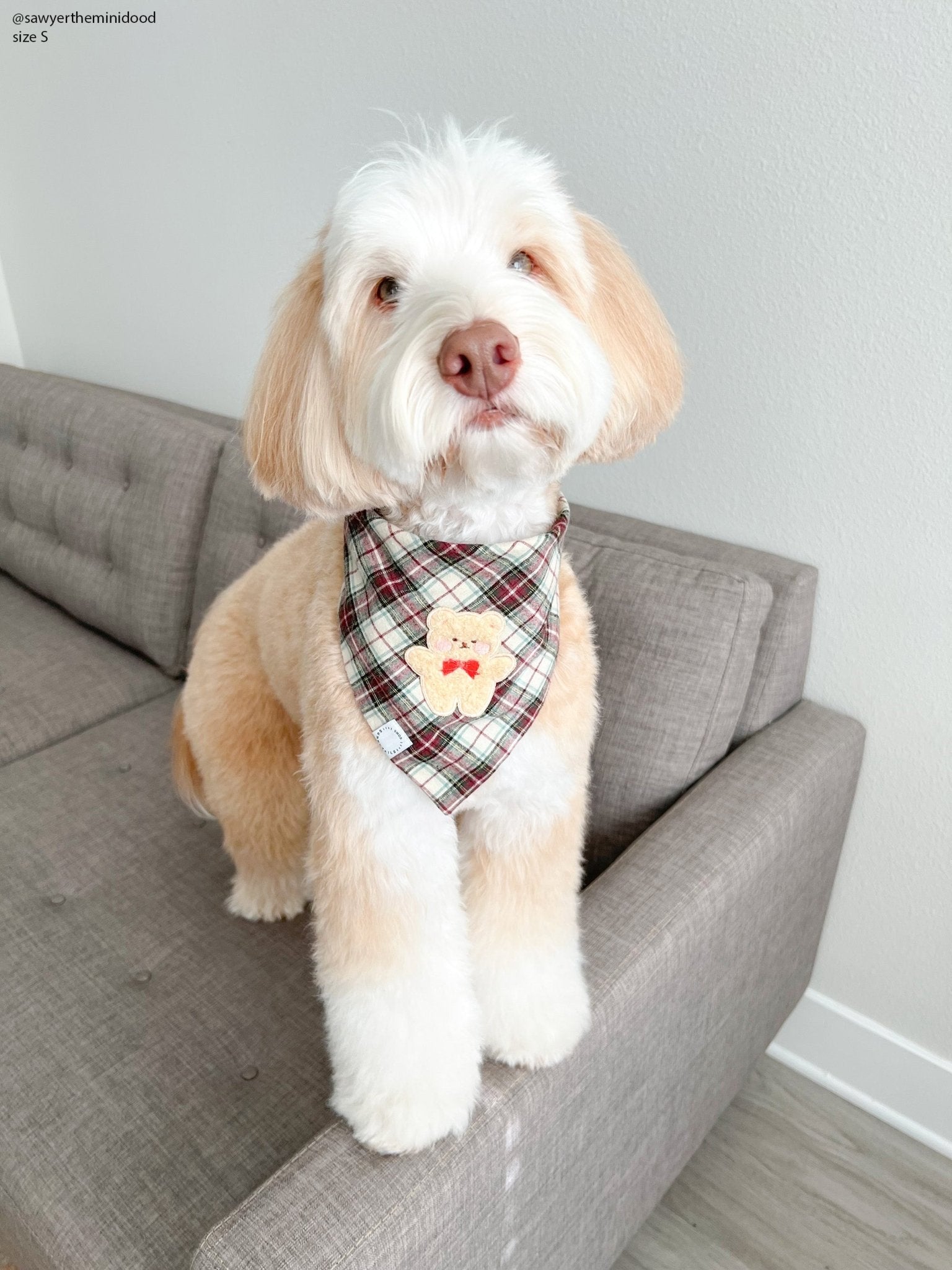 Holly Jolly Plaid Teddy Dog Bandana - SUNNY TAILS