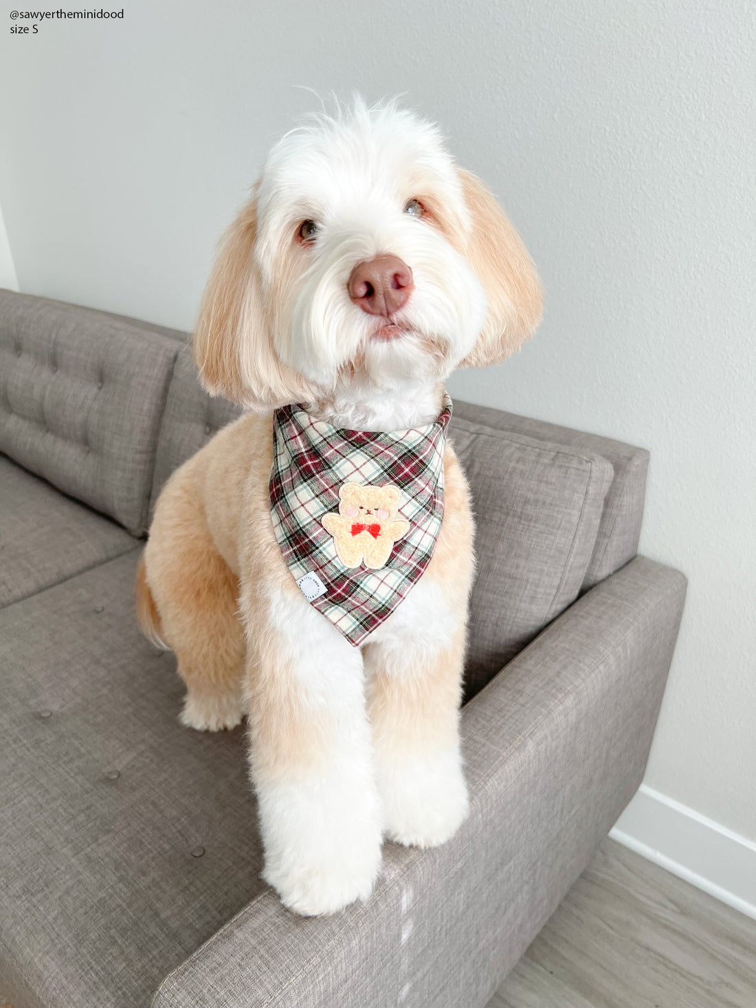 Holly Jolly Plaid Teddy Dog Bandana | Teddy Bear Dog Bandana | Shop Sunny TailsHolly Jolly Plaid Teddy Dog Bandana | Teddy Bear Dog Bandana | Shop Sunny Tails