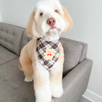 Holly Jolly Plaid Teddy Dog Bandana | Teddy Bear Dog Bandana | Shop Sunny TailsHolly Jolly Plaid Teddy Dog Bandana | Teddy Bear Dog Bandana | Shop Sunny Tails