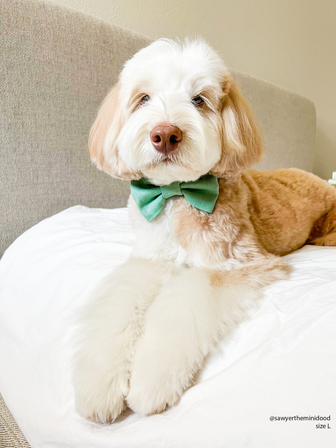 Sage Green Linen Match Dog Bow Tie | Snap Over Collar Bow Tie | Shop Sunny Tails