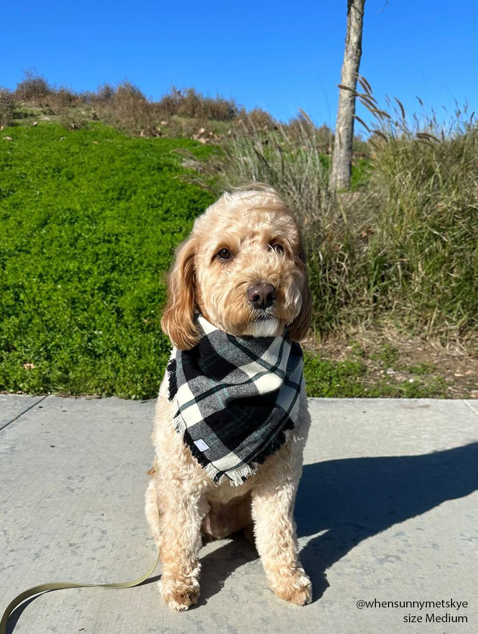 Black and White Flannel Frayed Dog Bandana - SUNNY TAILS