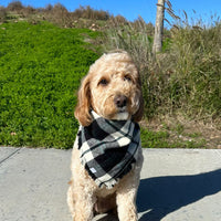 Black and White Flannel Frayed Dog Bandana