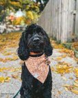 Sunkissed Daisies Dog Bandana - SUNNY TAILS