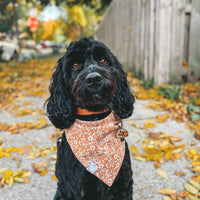 Sunkissed Daisies Dog Bandana