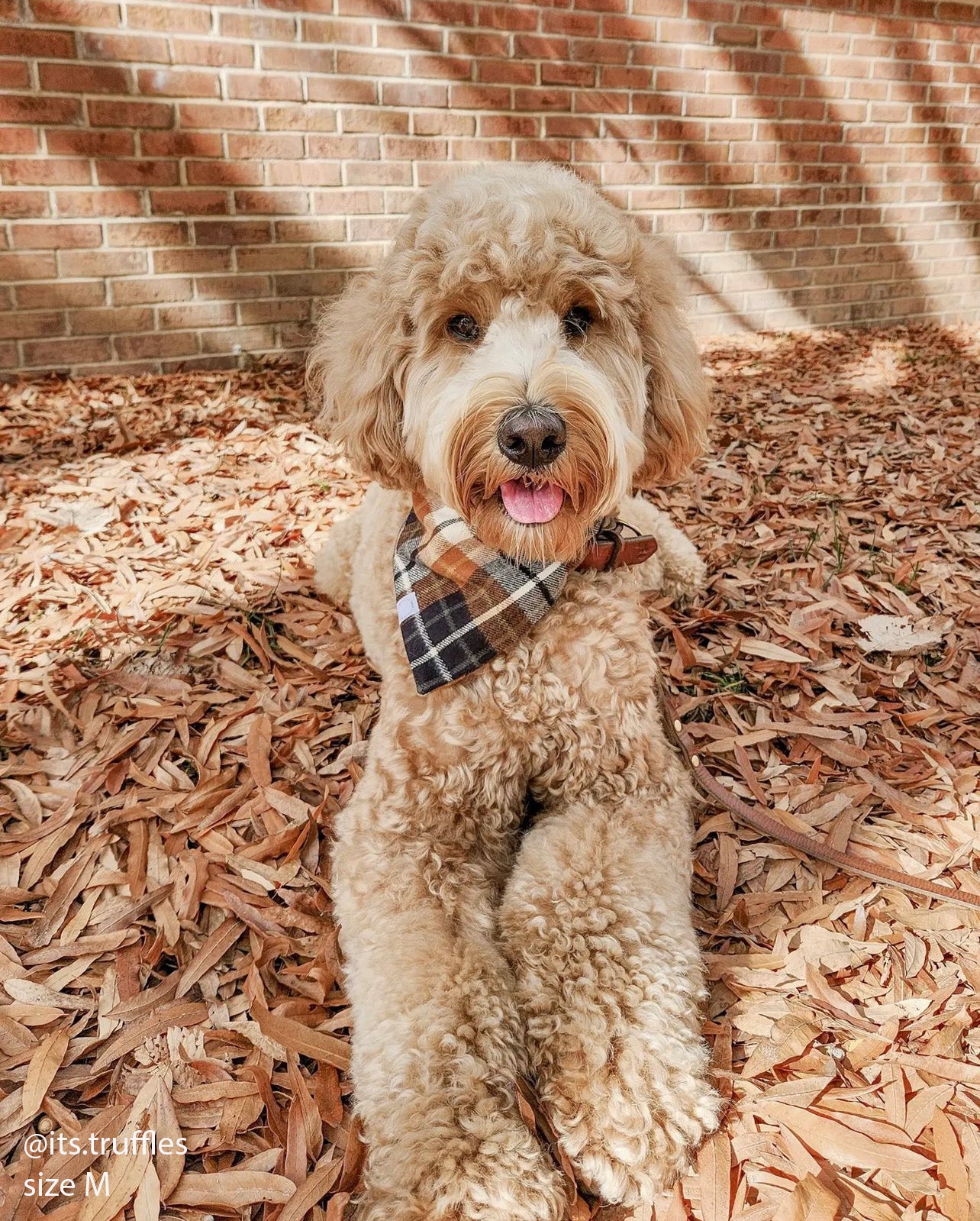 Harvest Plaid Flannel Dog Bandana - SUNNY TAILS