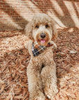 Harvest Plaid Flannel Dog Bandana - SUNNY TAILS