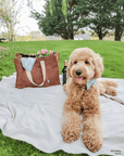 Father's Day Bundle Green Favorites - SUNNY TAILS