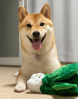 Eat Your Vegetables Crinkle & Squeaker Dog Toy - SUNNY TAILS