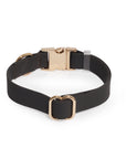 Ember Black Waterproof Dog Collar | Waterproof Quick Release Collar | Available in 3 Sizes | Durable Dog Collars | Shop Sunny Tails