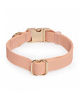 Peach Waterproof Dog Collar