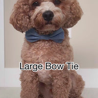 Olive Eyelet Dog Bow Tie