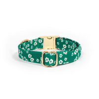 Summer Meadow Green Floral Dog Collar | Flower Dog Collar | Available in 3 Sizes | Durable Dog Collars | Shop Sunny Tails