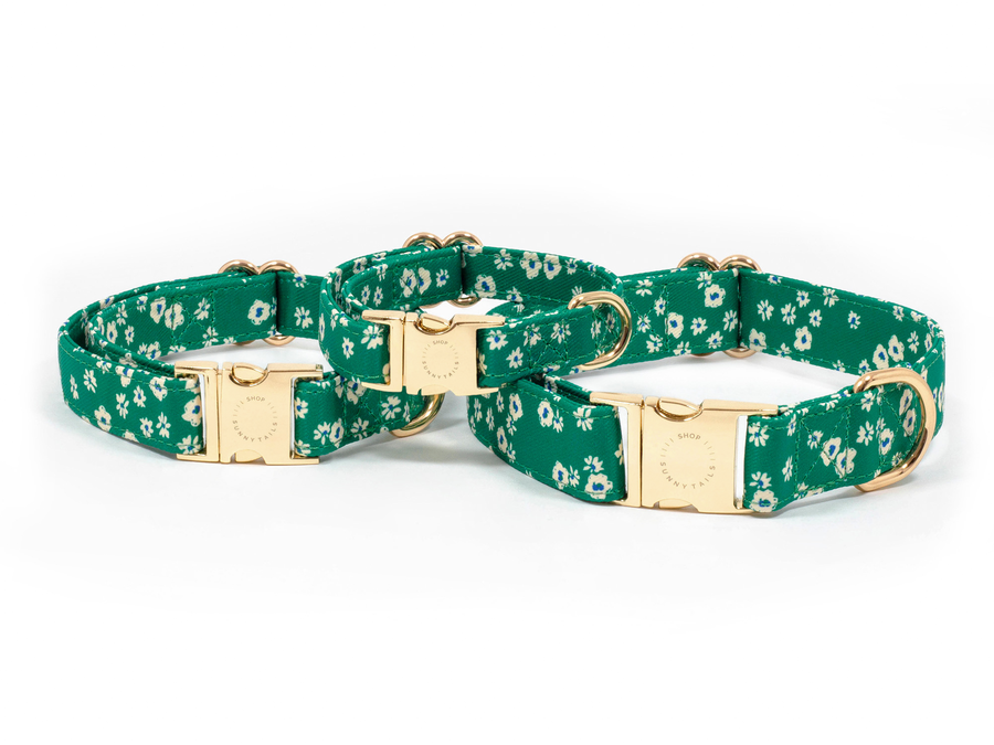 Summer Meadow Green Floral Dog Collar | Flower Dog Collar | Available in 3 Sizes | Durable Dog Collars | Shop Sunny Tails