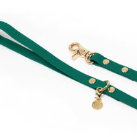 Meadow Green Waterproof Cloud Dog Leash | Lightweight PVC Leash | Odor Proof, Stink Proof, and Durable Dog Lead | Available in 3 Lengths 