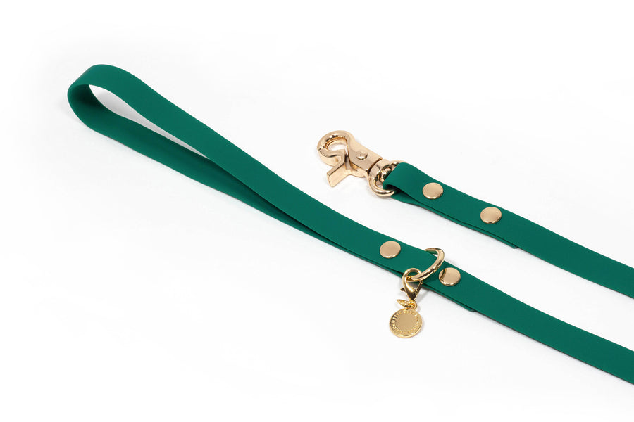 Meadow Green Waterproof Cloud Dog Leash | Lightweight PVC Leash | Odor Proof, Stink Proof, and Durable Dog Lead | Available in 3 Lengths 