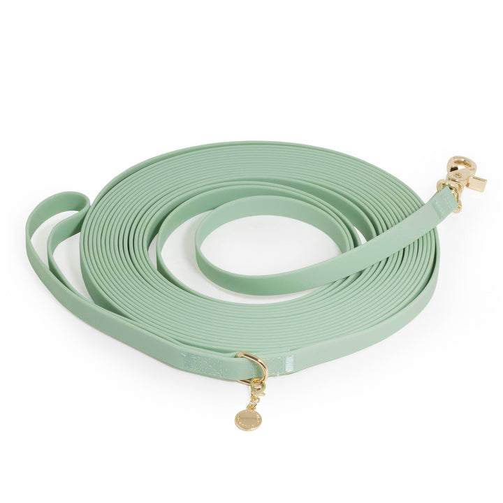 Pistachio Green Waterproof Cloud 30 Ft Dog Leash | Lightweight PVC Long Leash | Odor Proof, Stink Proof, and Durable Dog Lead | Available in 3 Lengths 