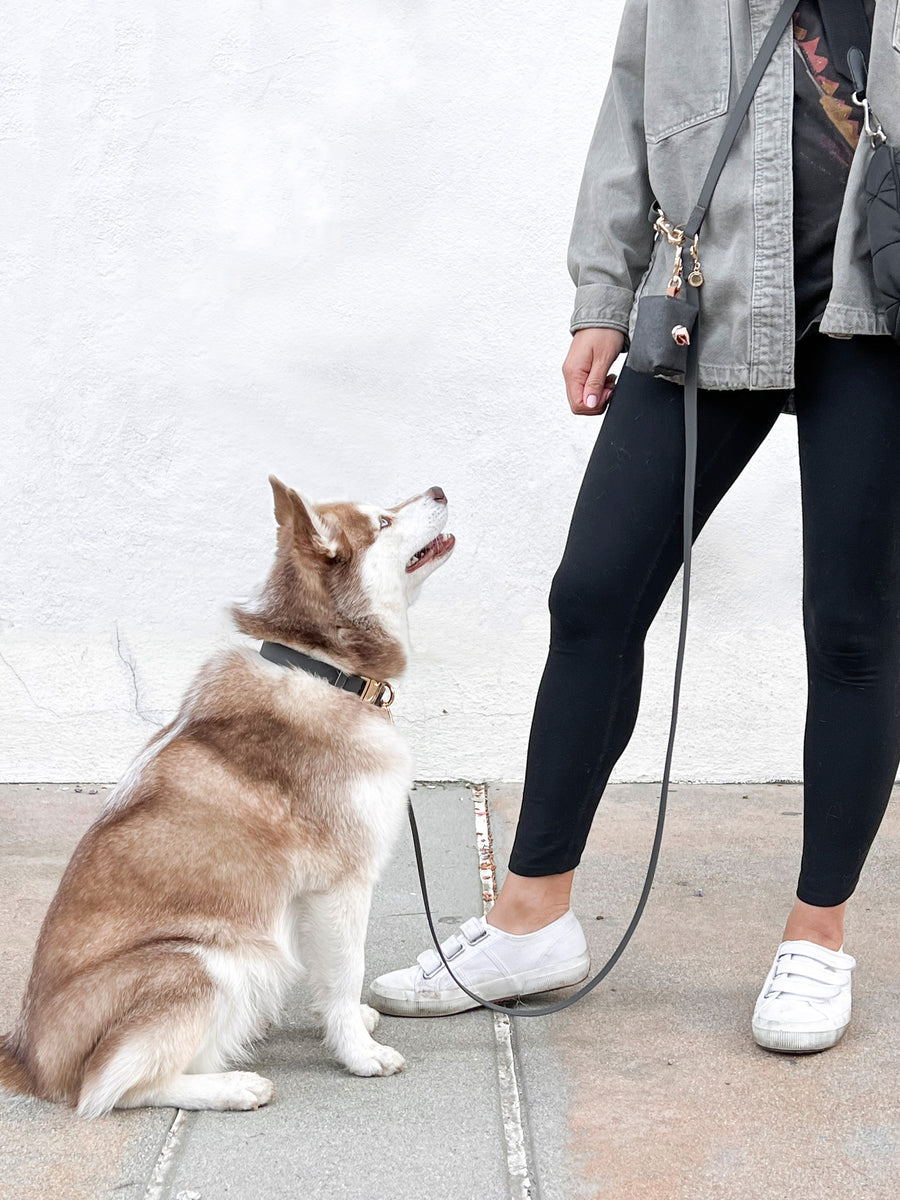 Ember Black Convertible Hands Free Cloud Dog Leash | Multifunctional, Waterproof, and Lightweight Dog Leash | Shop Sunny Tails