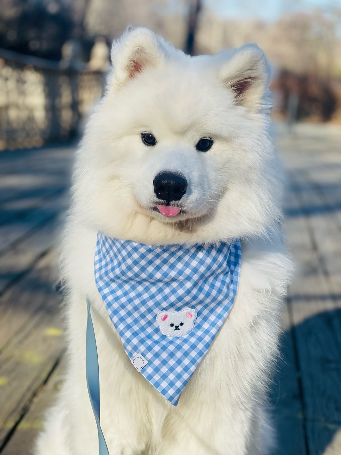 Periwinkle Blue Gingham Teddy Bear Dog Bandana