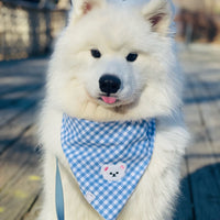 Periwinkle Blue Gingham Teddy Bear Dog Bandana