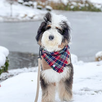 Happy Holidays Plaid Flannel Frayed Dog Bandana