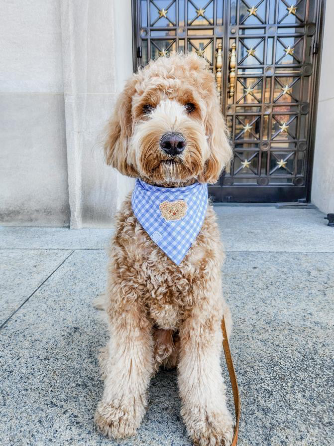 Periwinkle Blue Gingham Teddy Bear Dog Bandana