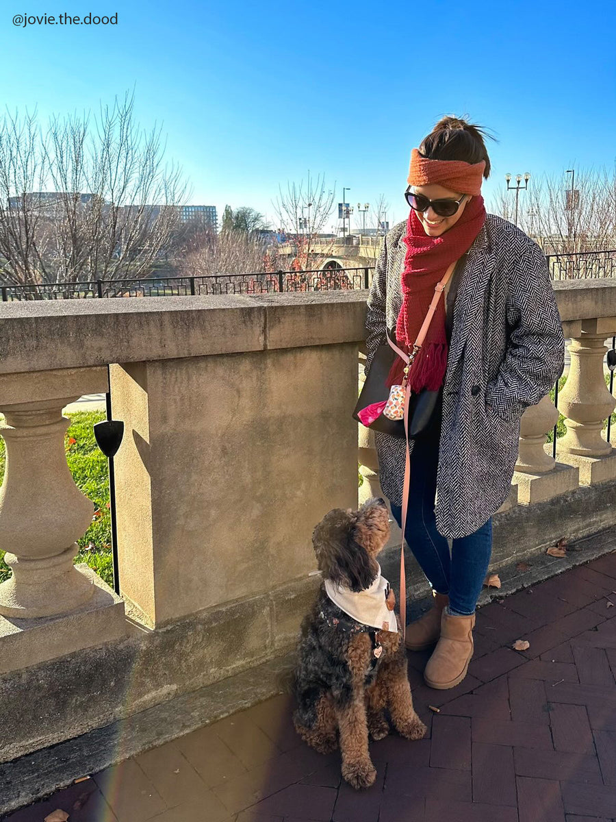 Mulberry Burgundy Convertible Hands Free Cloud Dog Leash | Multifunctional, Waterproof, and Lightweight Dog Leash | Shop Sunny Tails