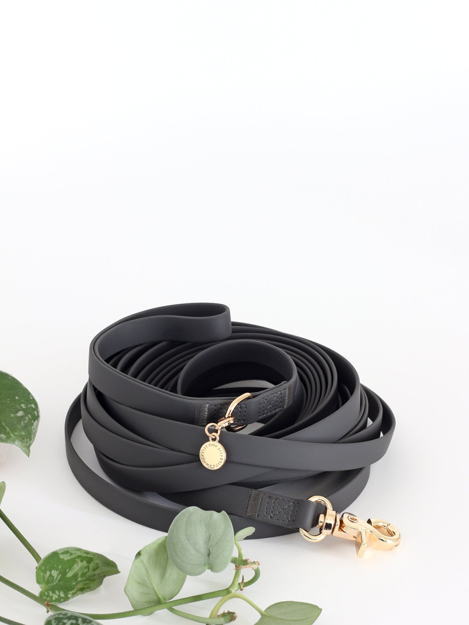 Ember Black Waterproof Cloud 30 Ft Dog Leash - SUNNY TAILS