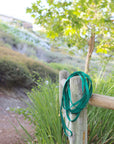 Meadow Green Waterproof Cloud 30 Ft Dog Leash | Lightweight PVC Long Leash | Odor Proof, Stink Proof, and Durable Dog Lead | Available in 3 Lengths 