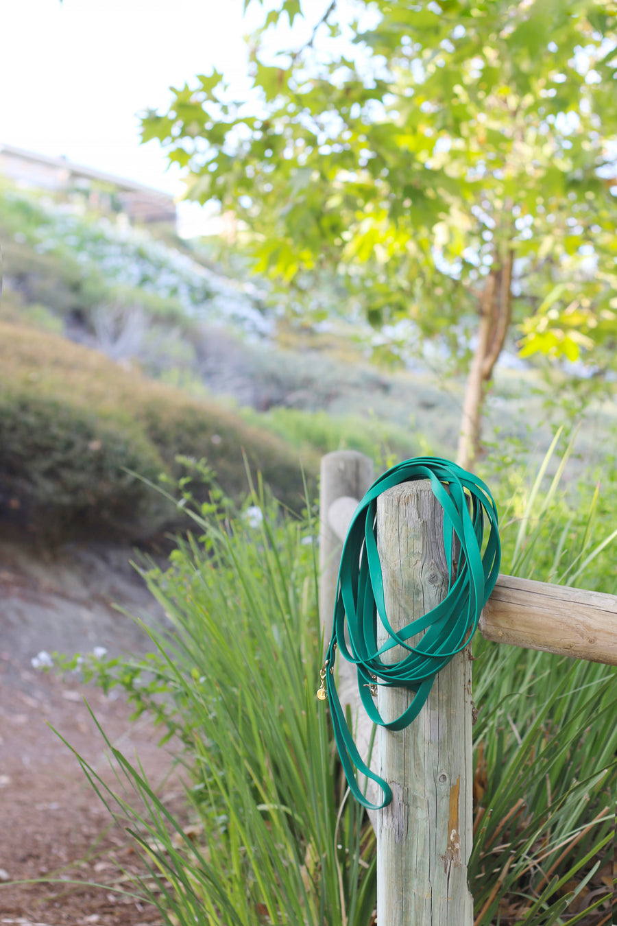 Meadow Green Waterproof Cloud 30 Ft Dog Leash | Lightweight PVC Long Leash | Odor Proof, Stink Proof, and Durable Dog Lead | Available in 3 Lengths 