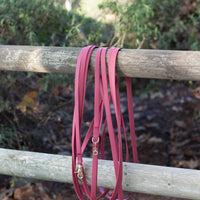 Mulberry Burgundy Waterproof Cloud 30 Ft Dog Leash | Lightweight PVC Long Leash | Odor Proof, Stink Proof, and Durable Dog Lead | Available in 3 Lengths
