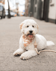 Giraffic Jam Dog Bandana - SUNNY TAILS