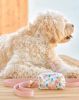 Peaches & Pears Dog Collar | Fruit Dog Collar | Available in 3 Sizes | Durable Dog Collars