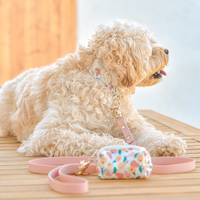 Peaches & Pears Dog Collar | Fruit Dog Collar | Available in 3 Sizes | Durable Dog Collars